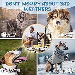 PawPaw's Dog Treadmill for Large Dogs, Medium Dogs