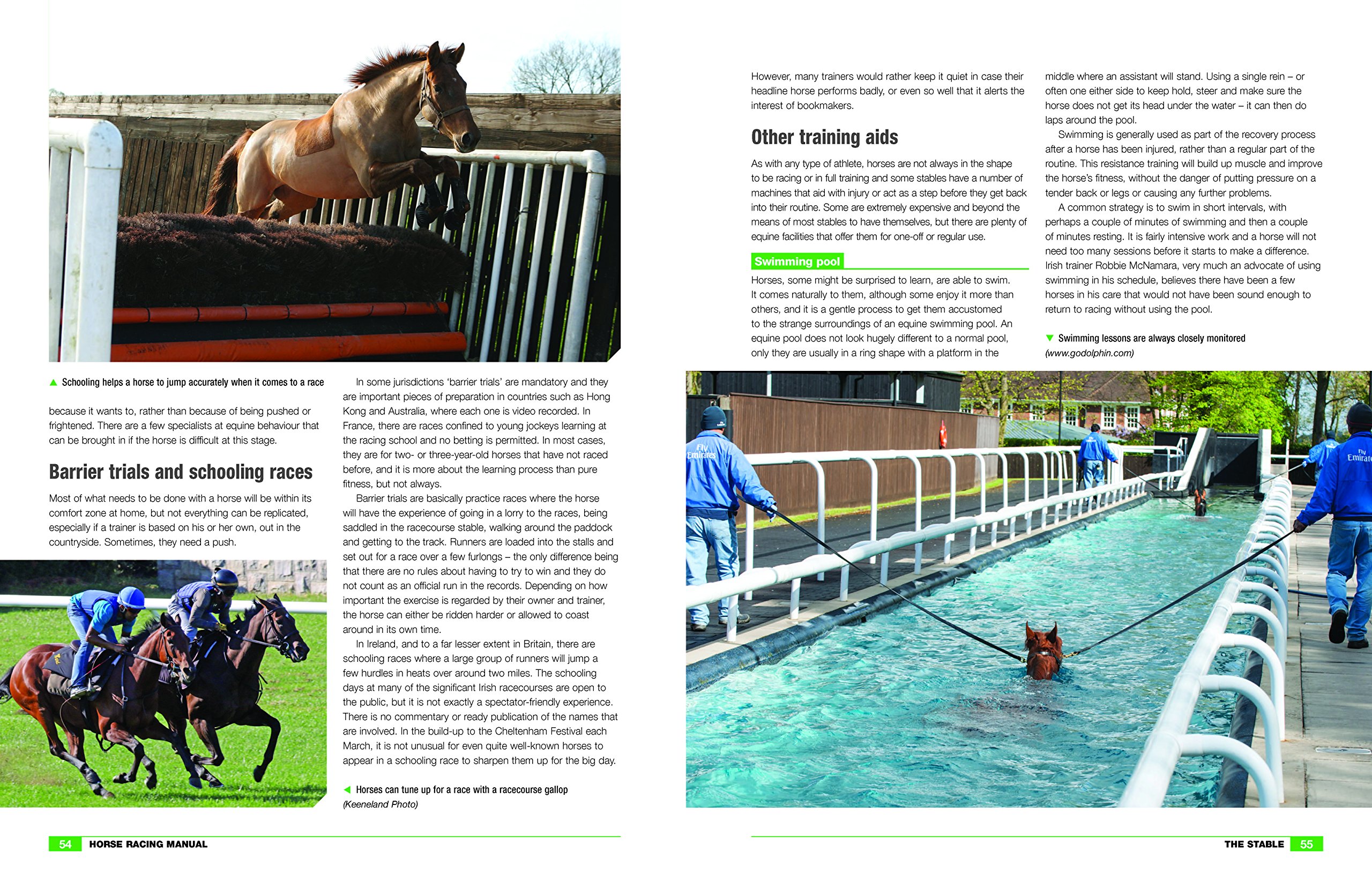 Horse Racing Manual (Haynes Manuals): Amazon.co.uk: Tom Peacock:  9781785211690: Books