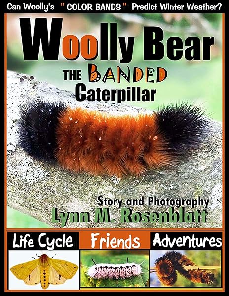 Woolly Bear The Banded Caterpillar Life Cycle Friends And Adventures Rosenblatt Lynn M 9781733473255 Amazon Com Books