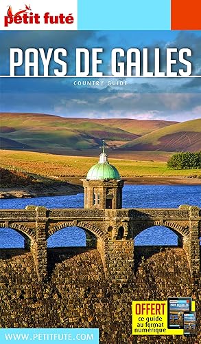 Download Guide Pays de Galles 2017 Petit Futé PDF