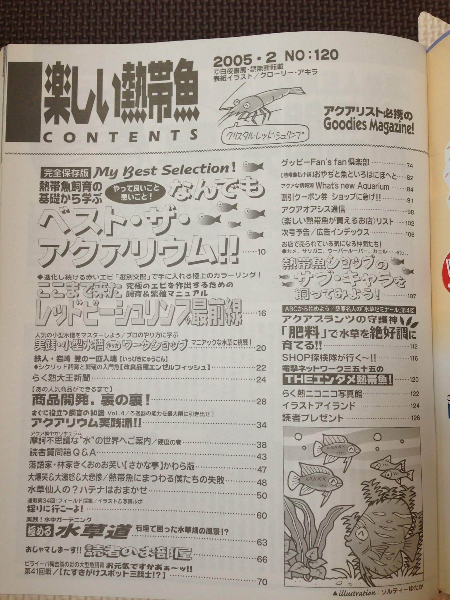 楽しい熱帯魚 平成17年10月 846 05年 No 128 底モノ魚の水槽生活 魚と器具の寿命up大作戦 品質検査済 05年