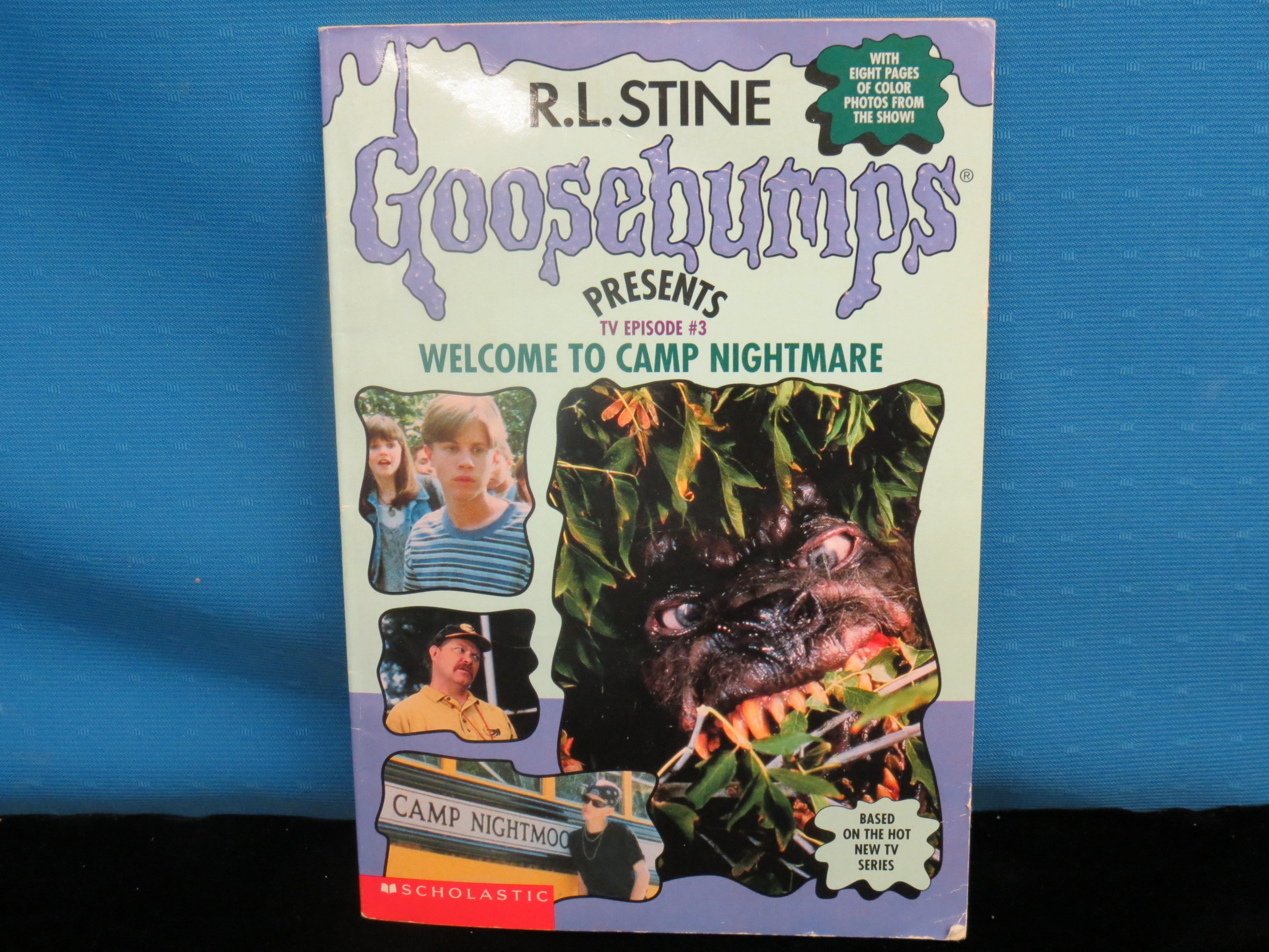 Welcome To Camp Nightmare Goosebumps Presents Tv Episode 3 Stine R L Cohen Jeff Stine R L 9780590745888 Amazon Com Books