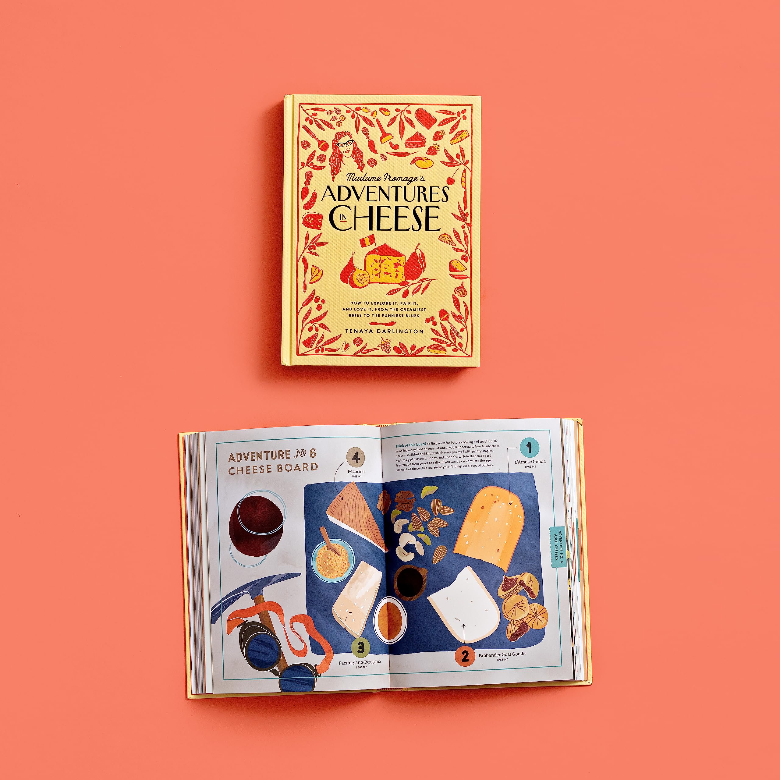 Madame Fromage's Adventures in Cheese: How to Explore It, Pair It, and Love It, from the Creamiest Bries to the Funkiest Blues
