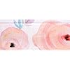 Product Photo 9