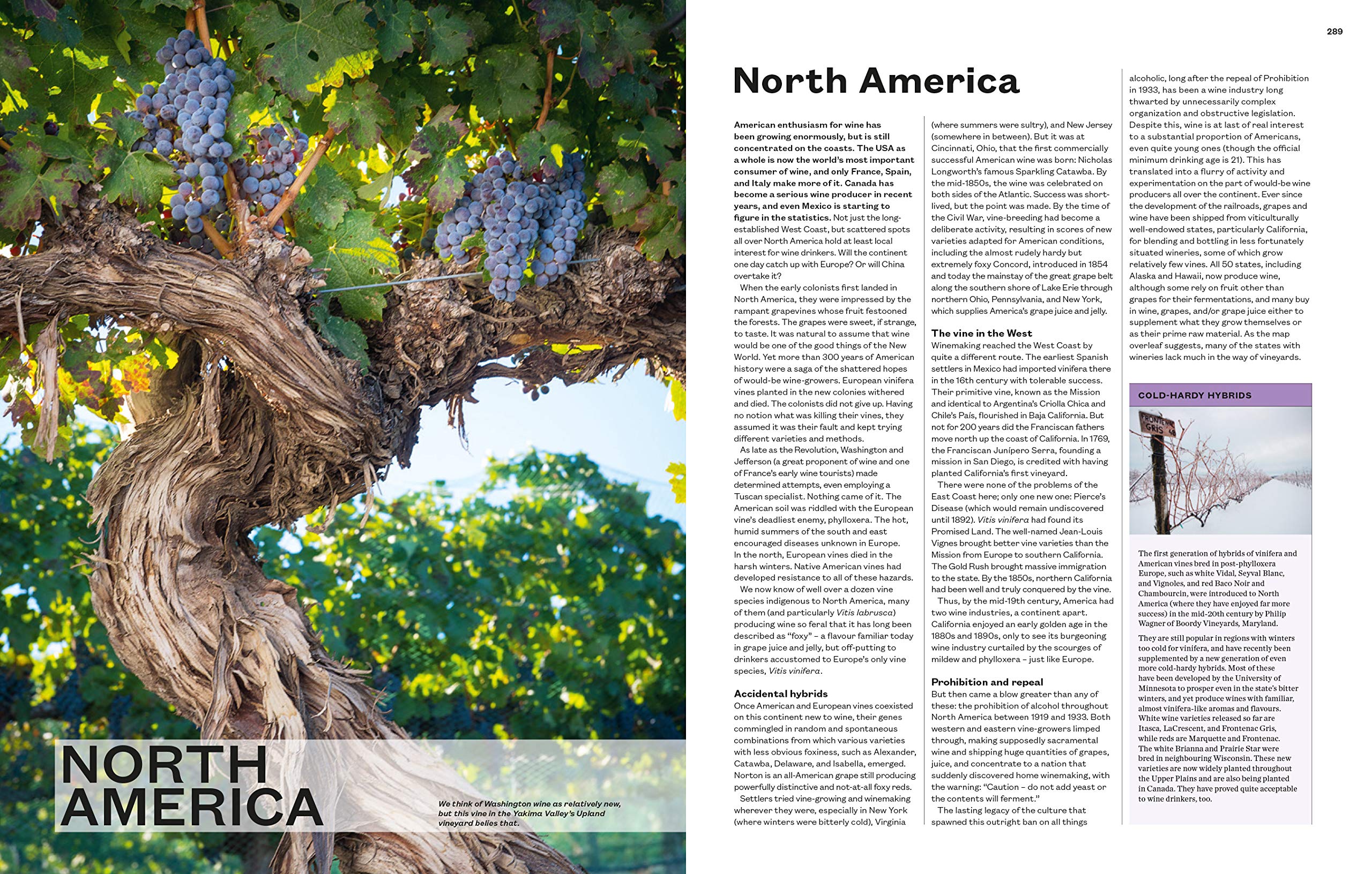 The World Atlas of Wine 8th Edition The World Atlas of Wine 8th Edition Hardcover