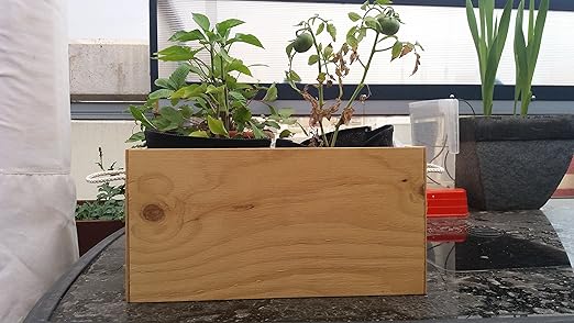 MERCANATURA Mini HUERTO Urbano: Amazon.es: Jardín