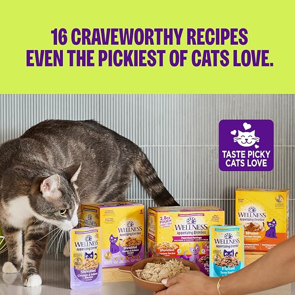 WELLNESS APPETIZING MOUSSE FLAKED VARIETY PACK ADULT WET CAT FOOD, NATURAL, PROTEIN RICH, GRAIN FREE, WHIPPED WONDERS, 2.8 OZ, PACK OF 8 POUCHES