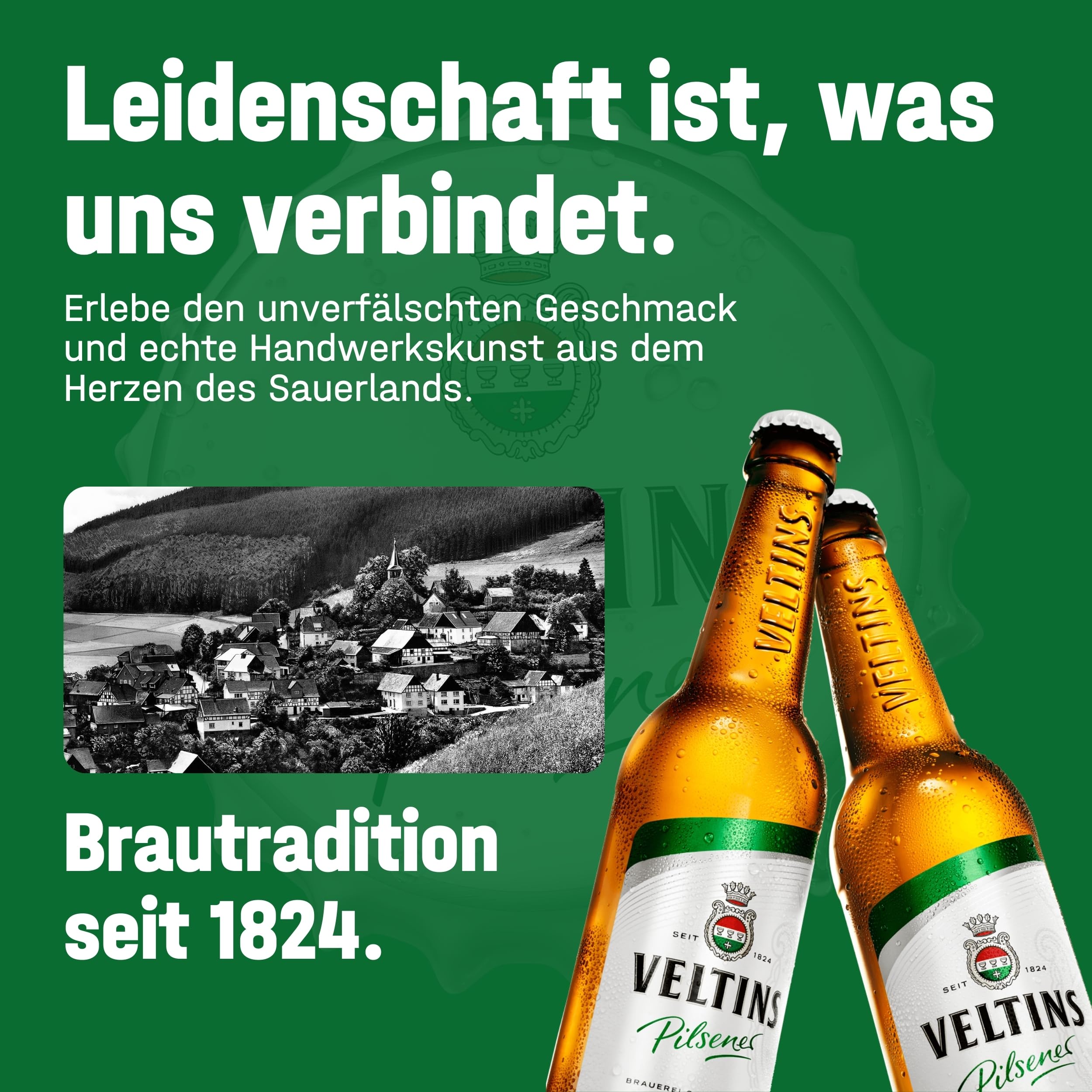 VELTINS Pilsener – 24 x 0,5 l Dosenbier (EINWEG) – Fein-herbes Premium Pils – Brautradition seit 1824 – Frisch & ausgewogen – 4,8 % vol. Alkohol 6