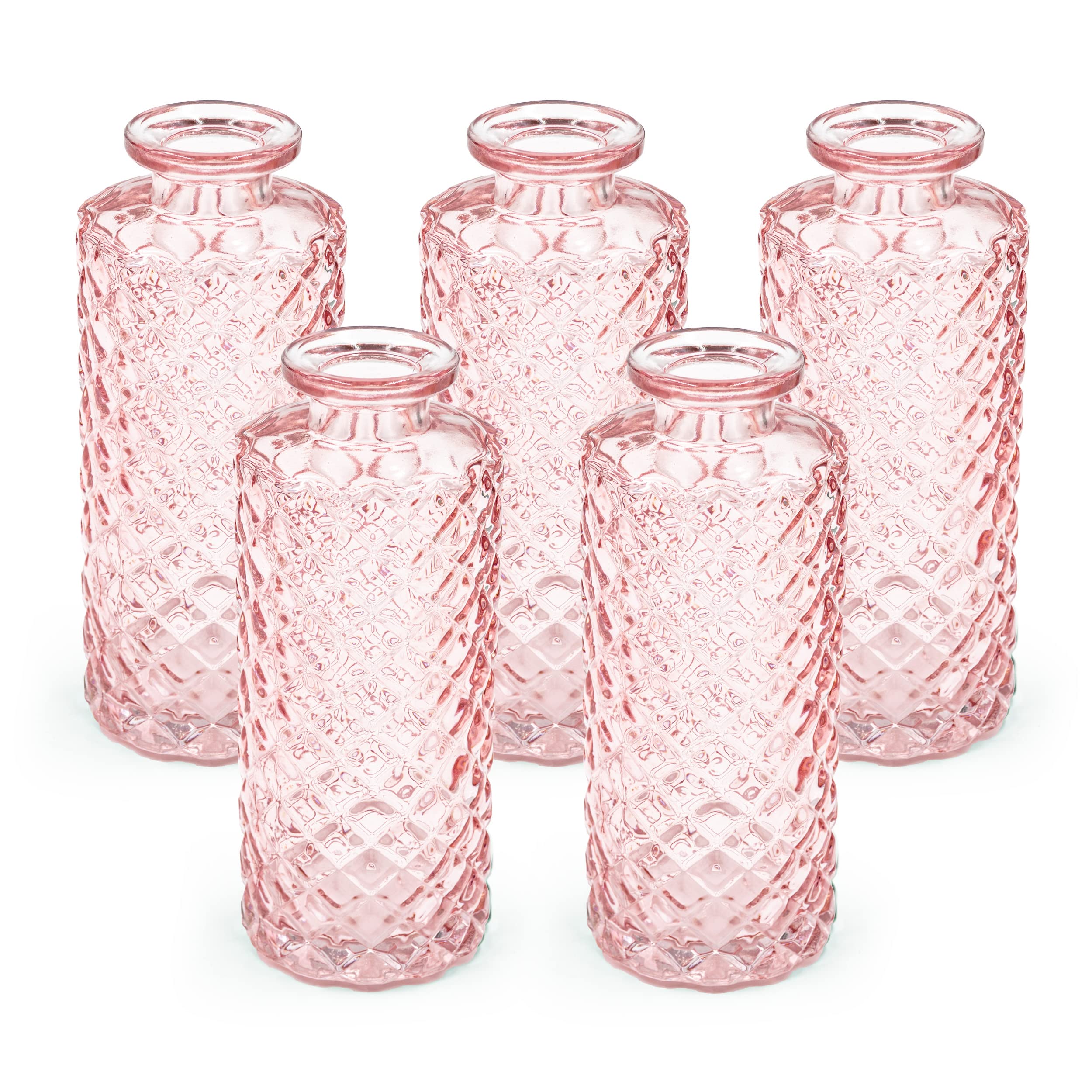 Blümelhuber 5er Set Kleine Vase Glas Deko Hochzeit - Vase Klein - Vase Modern - Deko Frühling - Pflanzen Deko Trockenblumen Set Vasen (Rosa)