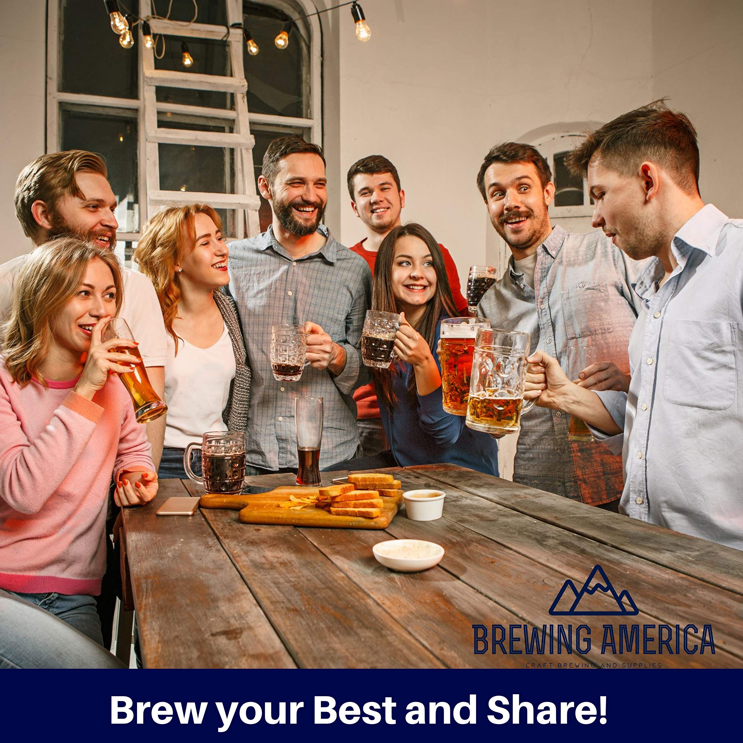 ThermoHydrometer ABV Tester Kit Triple Scale For Beer/Wine Pro