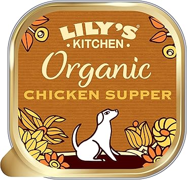 lily's kitchen organic cat food