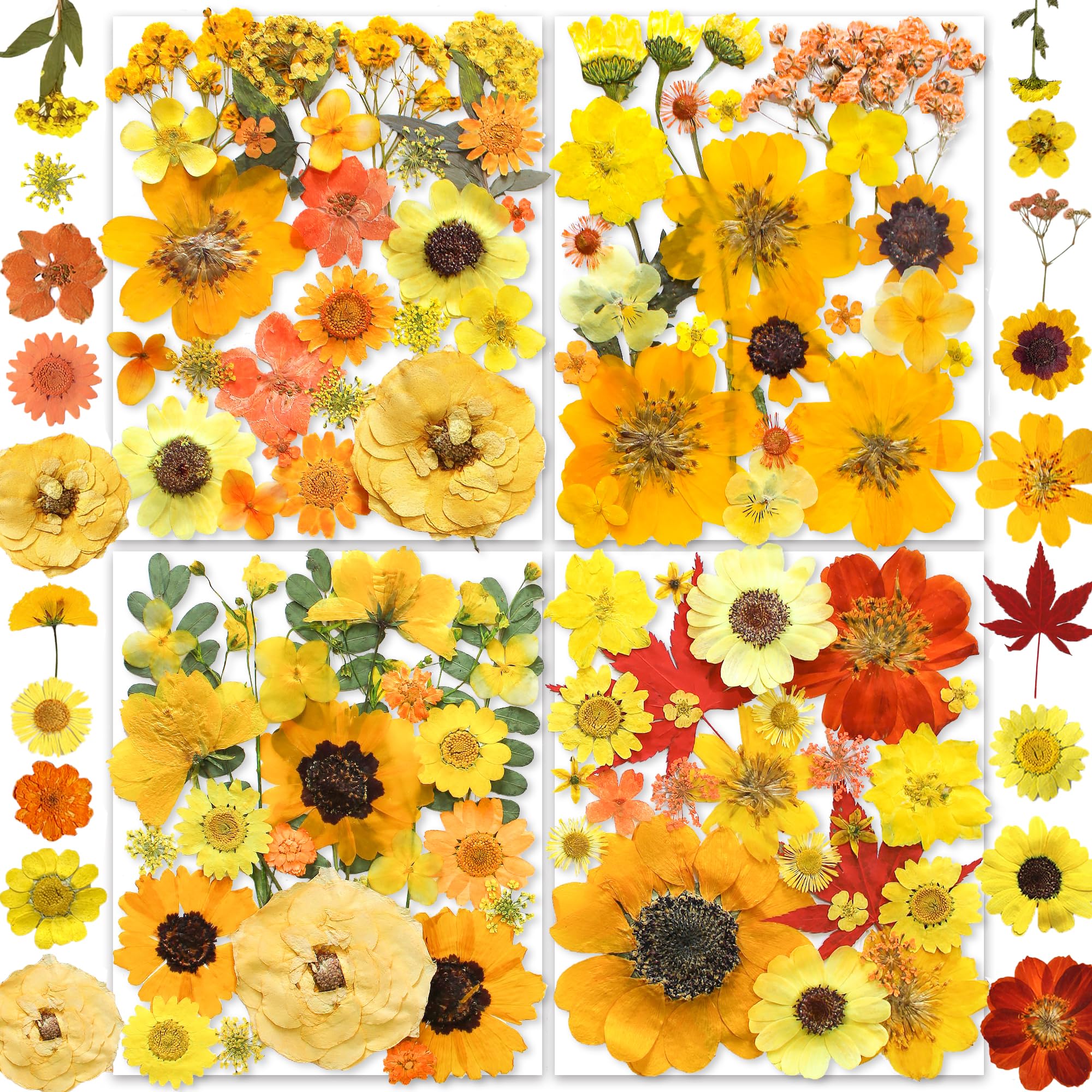 YouthBro 150PCS Yellow Dried Pressed Flowers for Resin Real Nature Flowers Herb Set for DIY Jewelry Candle Soap Vase Making Nail Card Scrapbook Art Craft Floral Decors