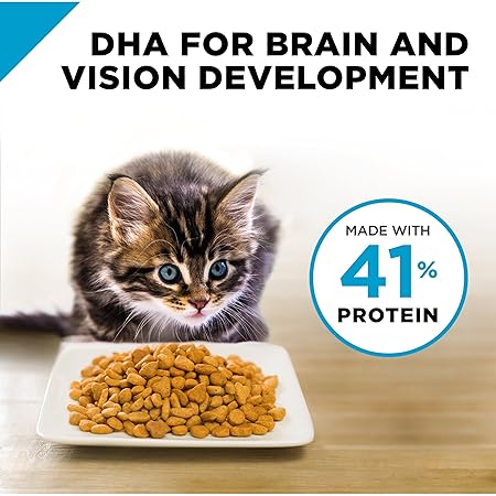 Purina Pro Plan High Protein Dry Kitten Food; FOCUS Chicken & Rice Formula - 7 lb. Bag