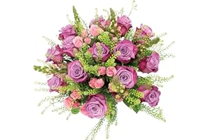 COLOUR REPUBLIC Mother's Day Gift, Country Living Premium Fresh Cut Lavender and Pink Roses, 2 Dozen Fresh Flowers, Extra Large Bouquet