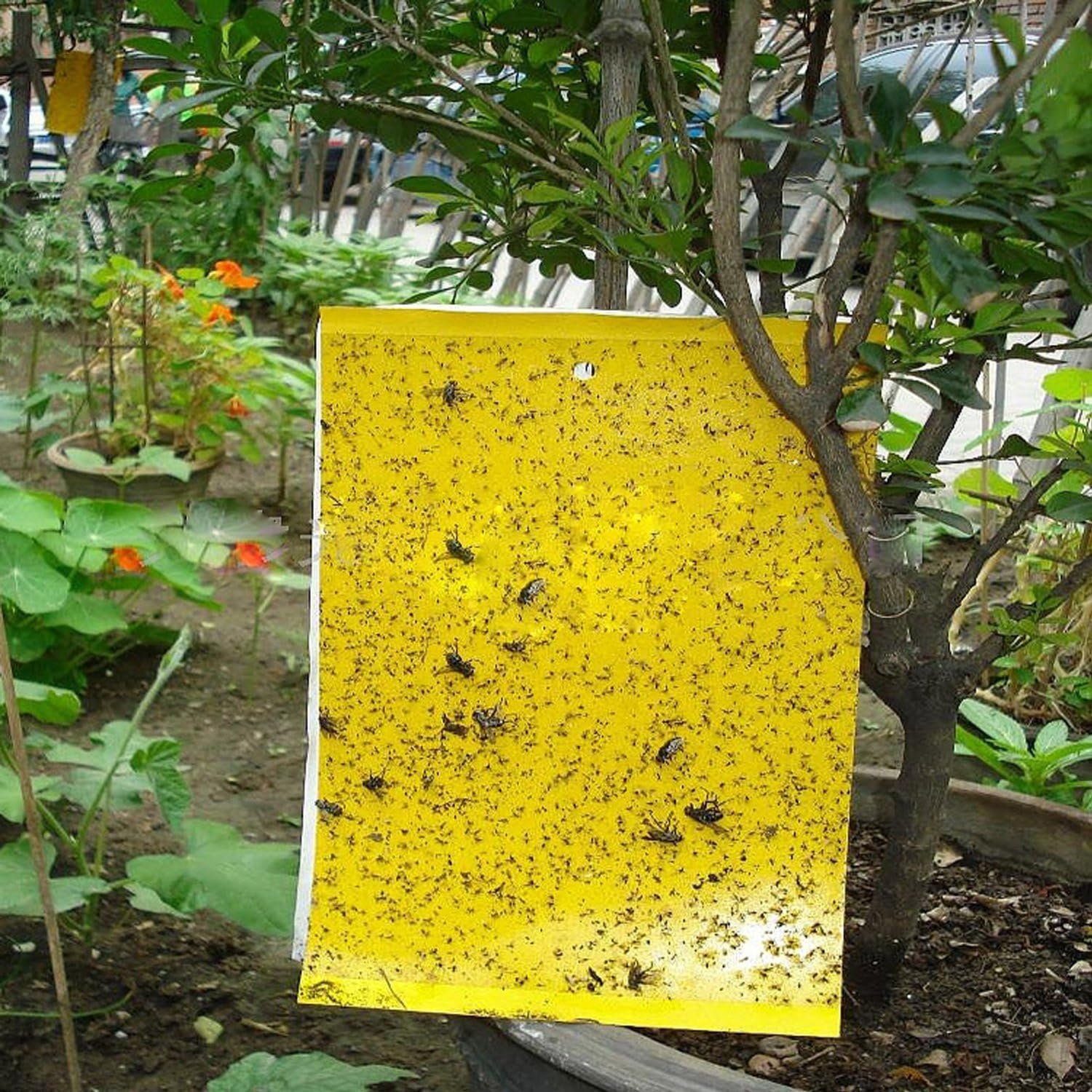 JTHM Dual-Sided Yellow Sticky Fly Trap, for Leaf Miner, Aphids, Fungus, Gnats, Mosquitoes, Whitefly, Moths & Other Flying Insects Effective (16 pcs)