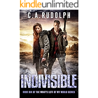 INDIVISIBLE: Book Six of the What's Left of My World Series book cover