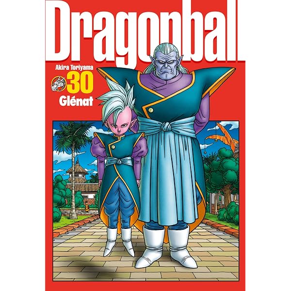 Amazon.com: Dragon Ball perfect edition - Tome 32: 9782723499293