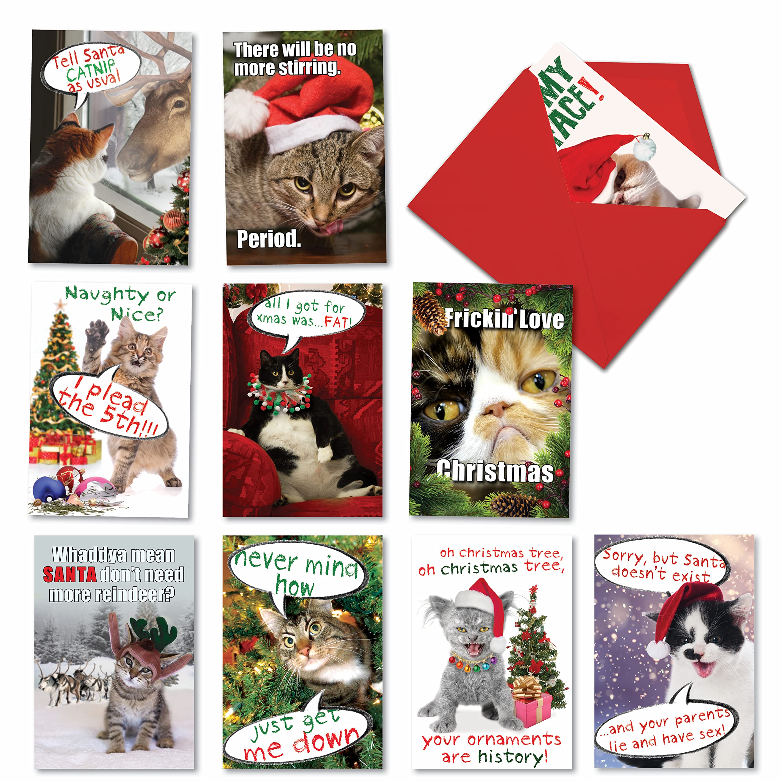 NobleWorks - 10 Funny Assorted Christmas Cards Boxed - Happy Holiday Assortment, Notecards with Envelopes - Petigreet Cat-Mass A1254