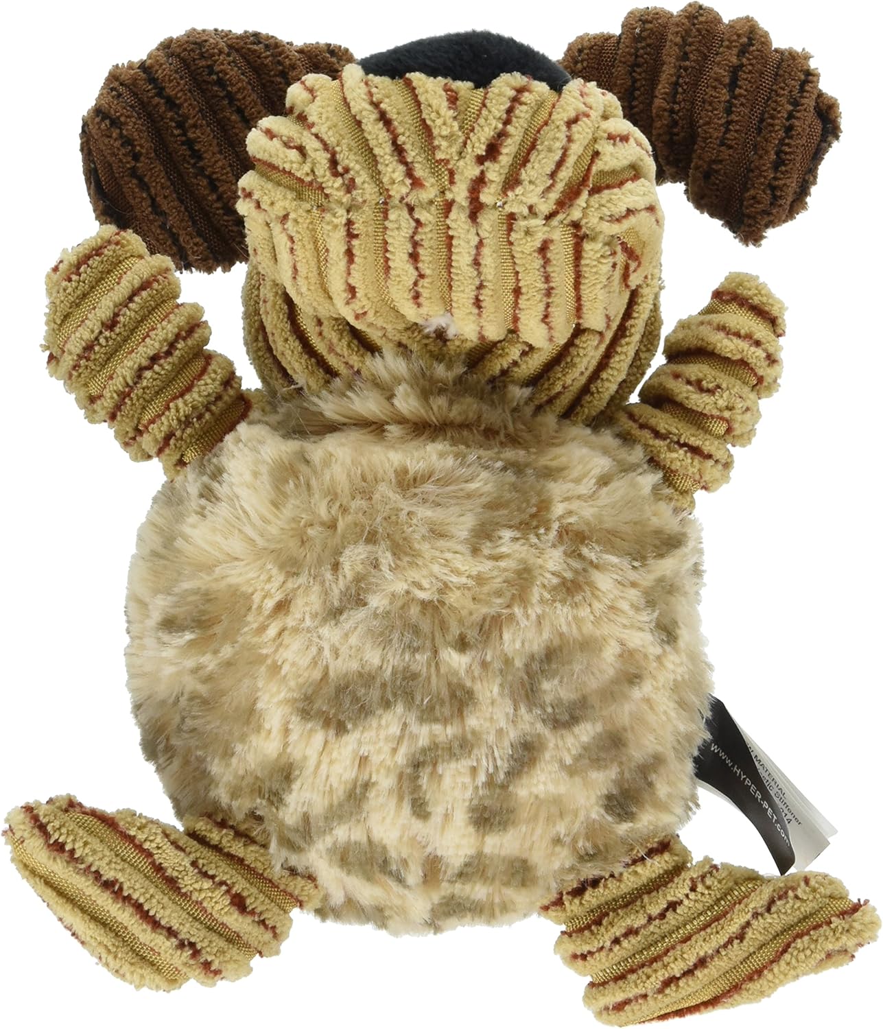 weird looking reptiles