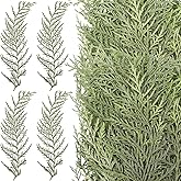 HyDren 100 Pcs Christmas Preserved Real Pine Branches Leaves Greenery Pine Picks Natural Dried Greenery Plants Twigs Wreath Decorations for Christmas Home Decor Indoor Outdoor (6 Inches)