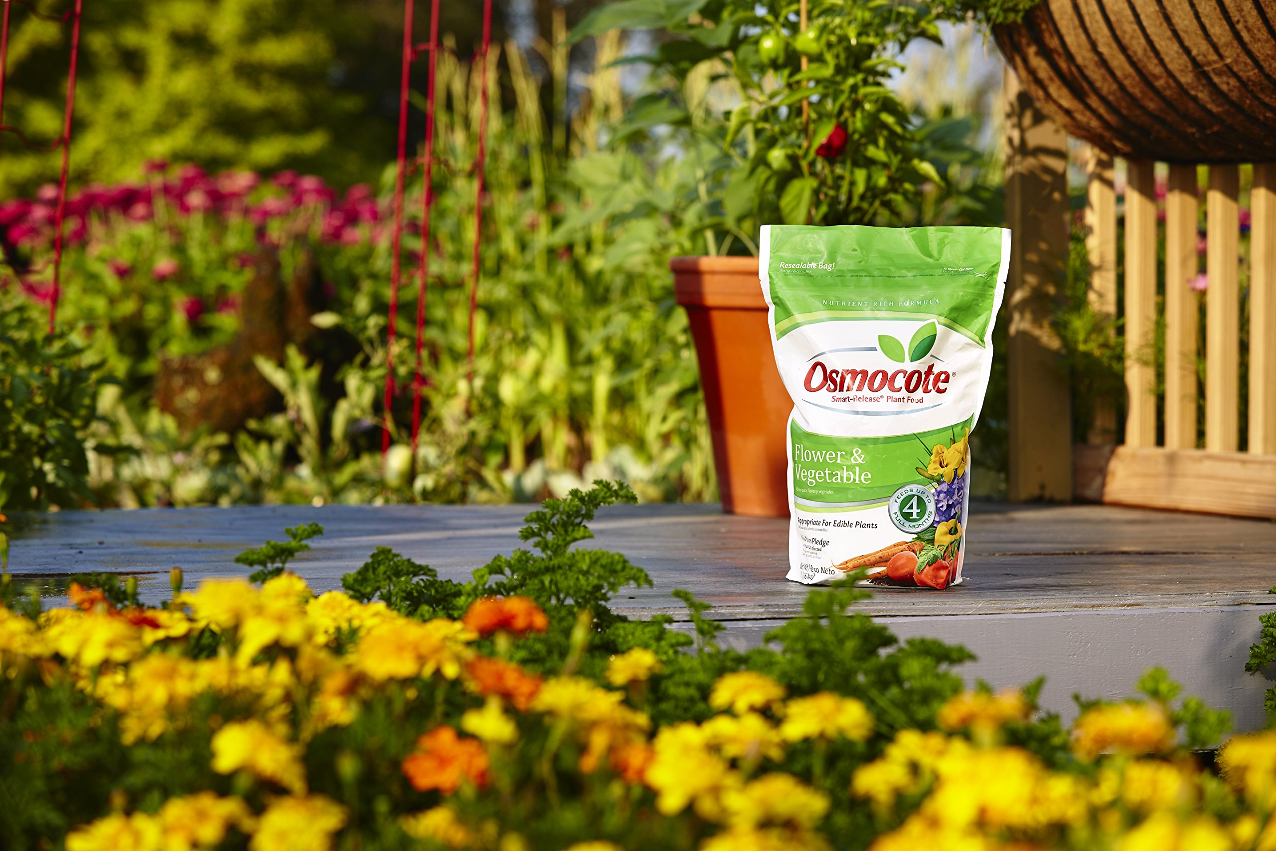 Osmocote SmartRelease Plant Food Flower & Vegetable, 8 lbs Buy