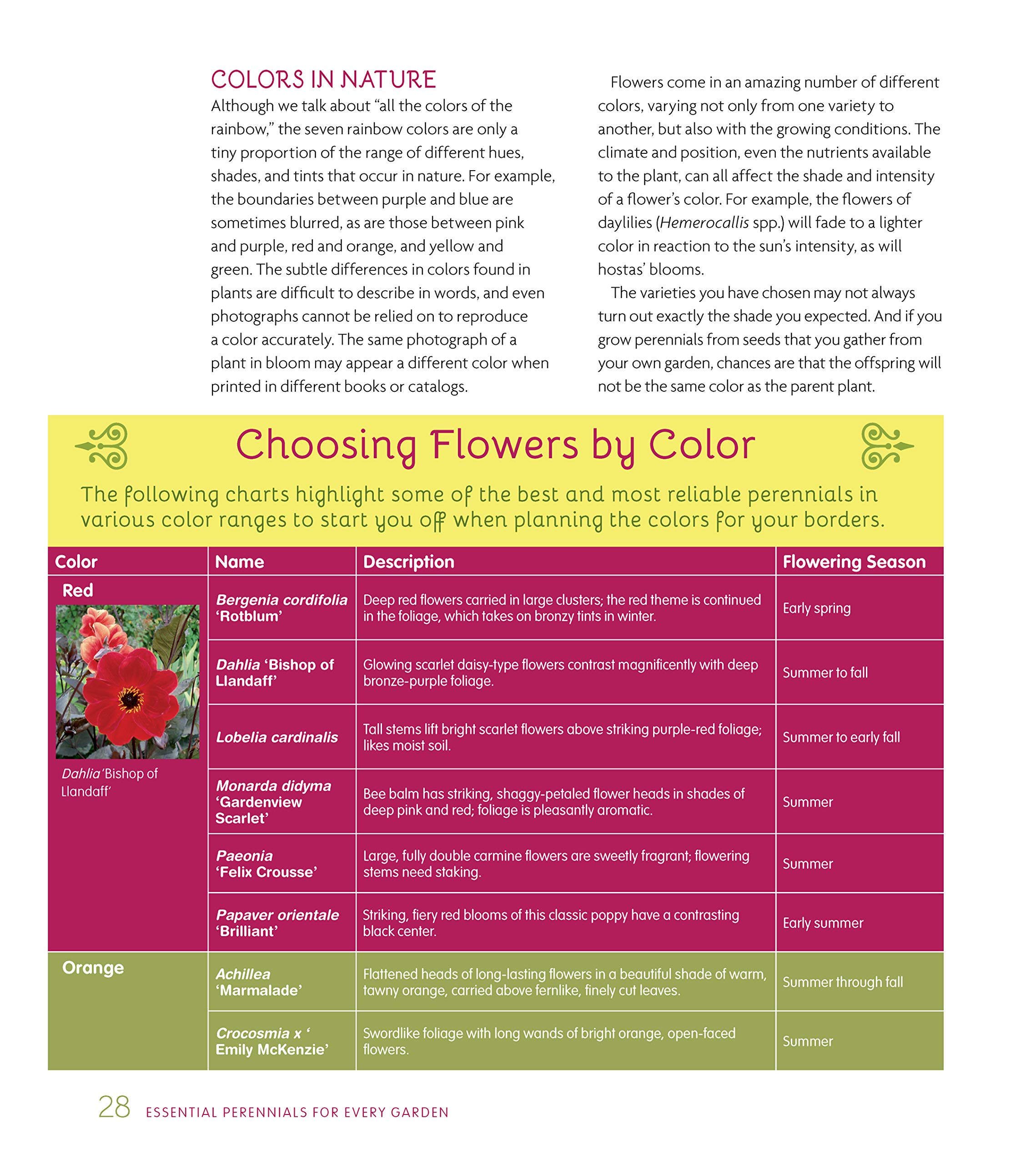Essential Perennials for Every Garden: Selection, Care, and Profiles for Over 110 Easy-Care Plants (CompanionHouse Books) Gardening Advice for Design, Extending the Flower Growing Season, and More