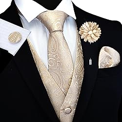 GUSLESON Mens Paisley Champagne Suit Vest Tie and