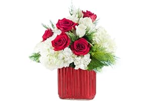KaBloom PRIME NEXT DAY DELIVERY - Winter Kisses and Roses| Fresh For Delivery Prime .Gift for Birthday, Sympathy, Anniversary, Get Well, Thank You, Valentine, Mother’s Day Fresh Flowers