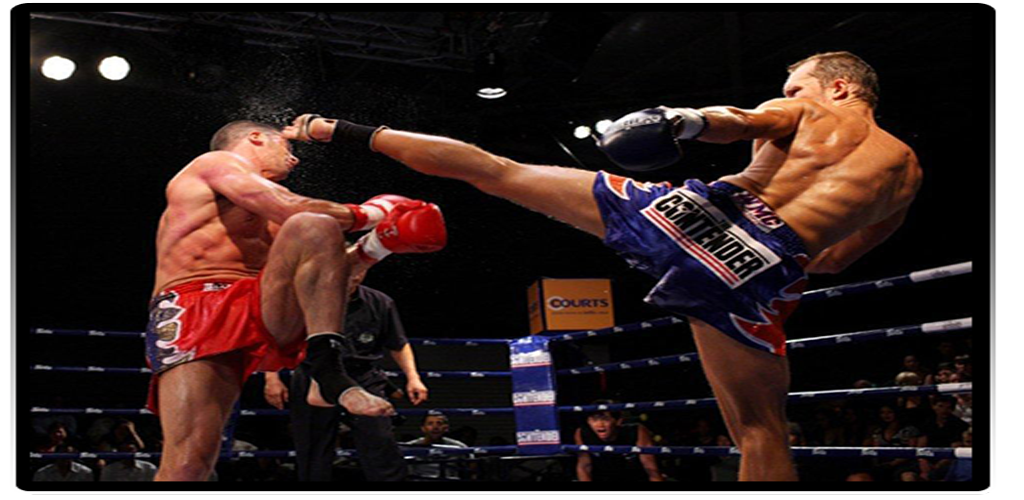 Worlds Deadliest Martial for Android