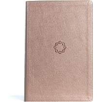 KJV Essential Teen Study Bible, Rose Gold LeatherTouch, Indexed ...