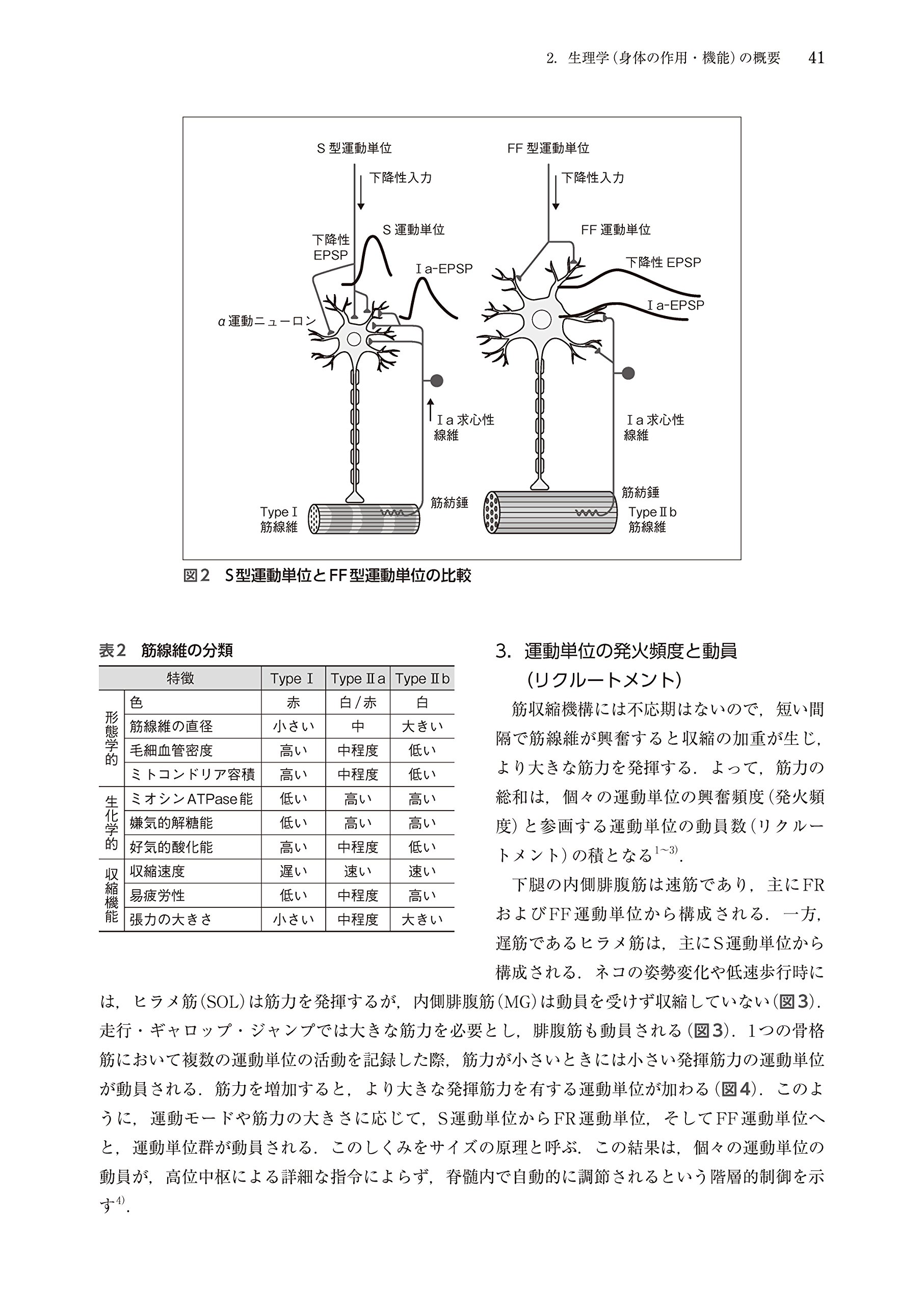 解剖学 生理学 運動学に基づく動作分析 奈良 勲 木林 勉 佐藤 香緒里 清水 順市 松川 寛二 本 通販 Amazon