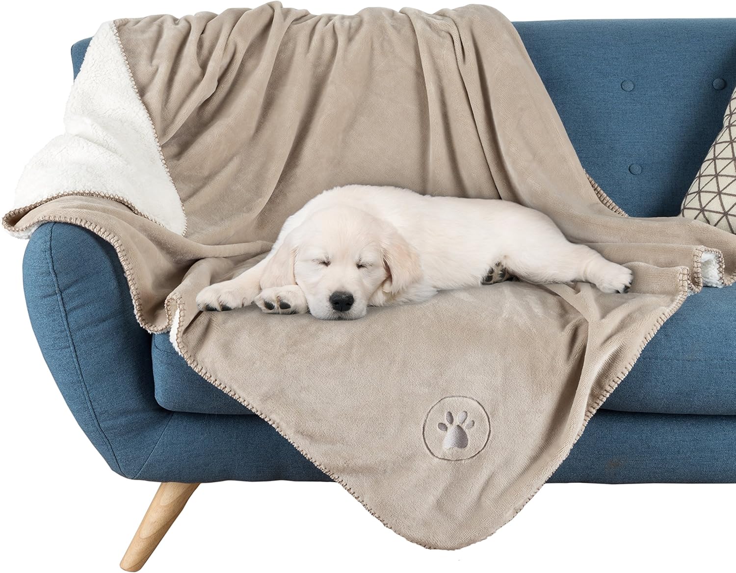 Waterproof Pet Blanket-50”x60” Soft Plush Throw Protects Couch, Chairs, Car, or Bed from Spills, Stains, or Pet Fur-Machine Washable by Petmaker (Tan) : Pet Supplies