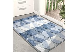 DEXI Door Mat, Non Slip Absorbent Washable Entryway Mat, Low Profile Inside Doormats for Home Entrance, Front Door, 20"x32", Blue