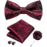 JEMYGINS Paisley Pre-tied Bow Tie and Pocket Square Cufflinks Lapel Pin Sets for Men 4PCS