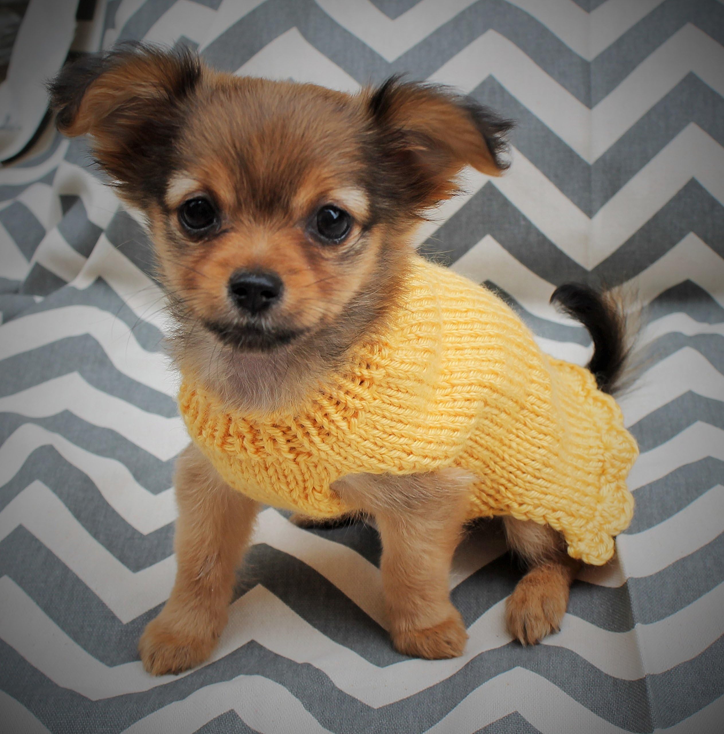 Tiny Hand Knit Dog/Puppy Sweater for 2 Lbs XXXS/XXS for Chihuahua Yorkie Maltese Pomeranian Teacup Puppies with Flower Option