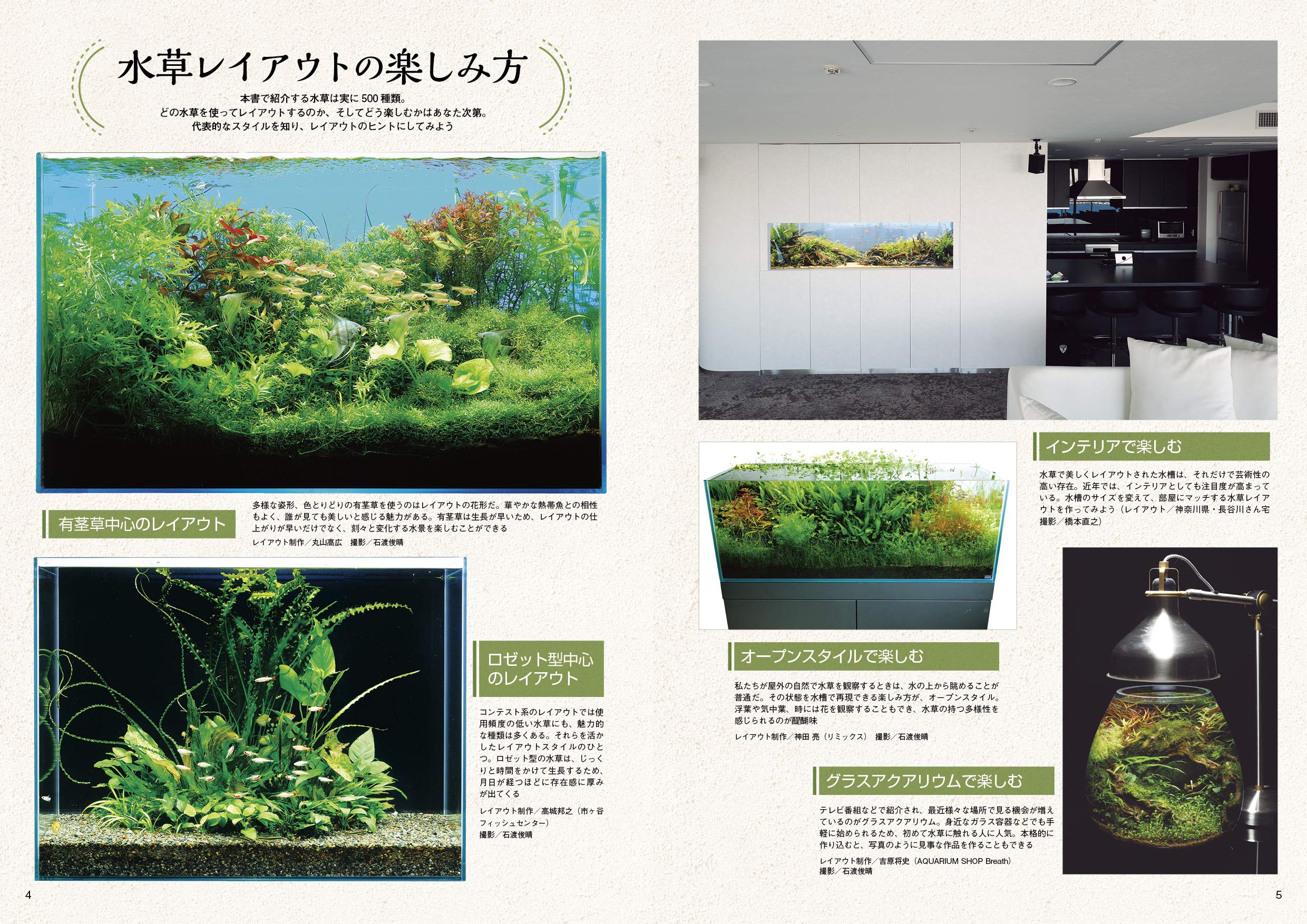 レイアウトに使える 水草500種図鑑 Amazon Com Books