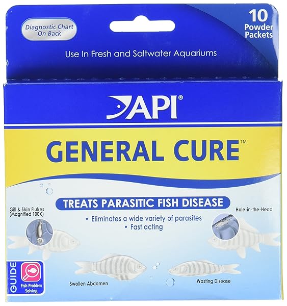 API GENERAL CURE FRESHWATER AND SALTWATER FISH POWDER MEDICATION 10-COUNT BOX