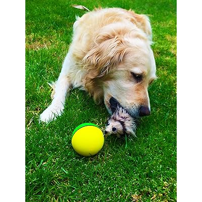 milo weasel activation ball for dogs