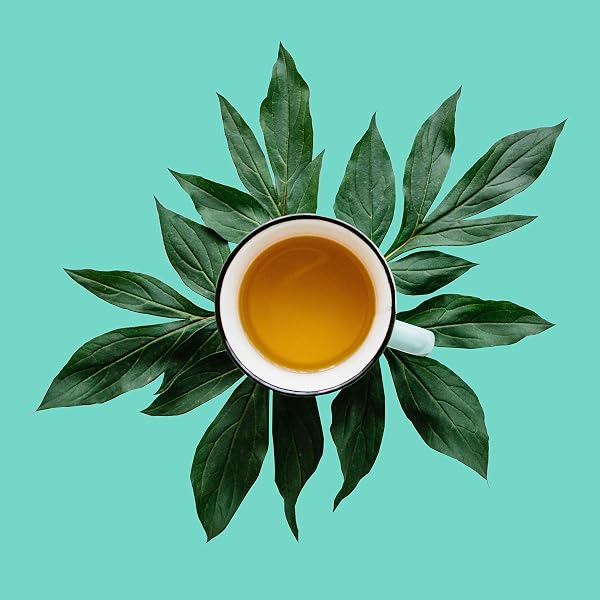 TI KUAN YIN OOLONG, LOOSE LEAF TEA – CAFFEINATED, PURE TAIWAN, UNFLAVORED | BULK 8OZ, 80-100 CUPS | THE SPICE HUT, FIRST SIP OF TEA