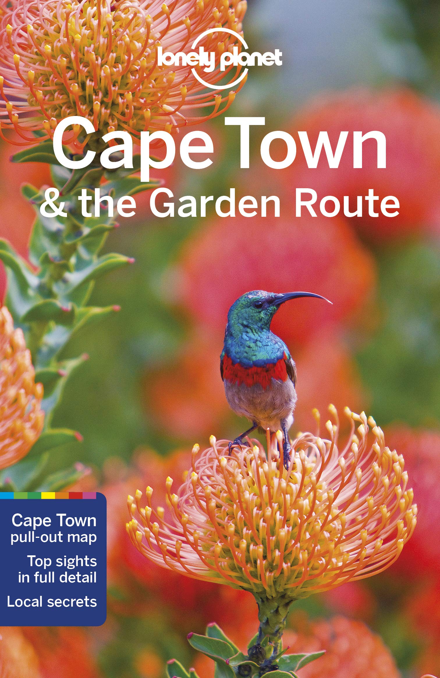 Lonely Planet Cape Town & the Garden Route: Lonely Planet's most comprehensive guide to the city (Travel Guide)
