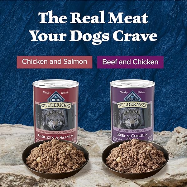 BLUE BUFFALO WILDERNESS HIGH PROTEIN BEEF AND CHICKEN & SALMON AND CHICKEN WET DOG FOOD VARIETY PACK FOR ADULT DOGS, GRAIN-FREE, 12.5 OZ CANS (6 PACK)
