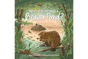 What Goes on inside a Beaver Pond?