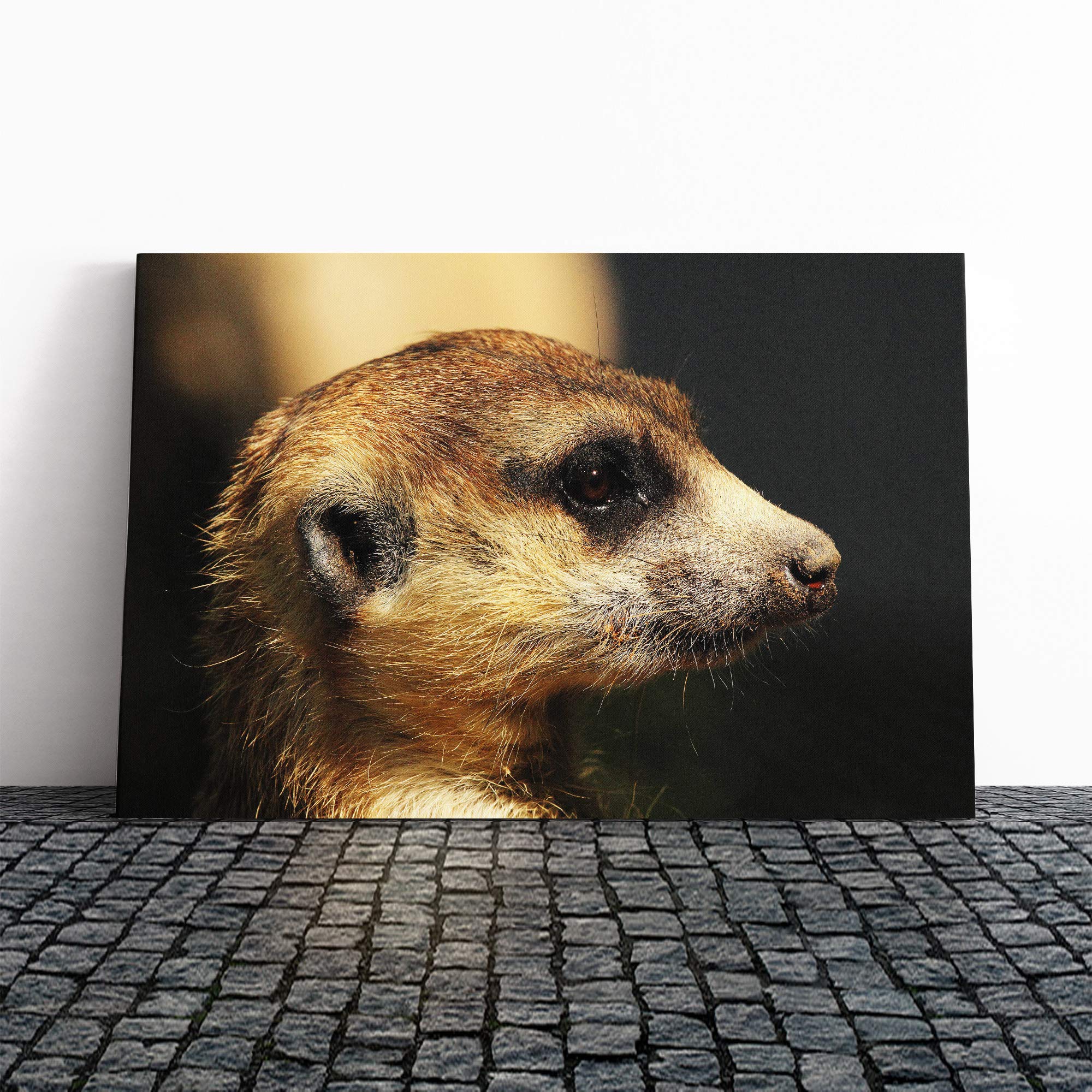 Meerkat Canvas Print | Gallery Wrapped 30mm Frame Wall Art | 20x14 inches | Ready to Hang | Modern Picture | Living Room Bedroom Lounge Office
