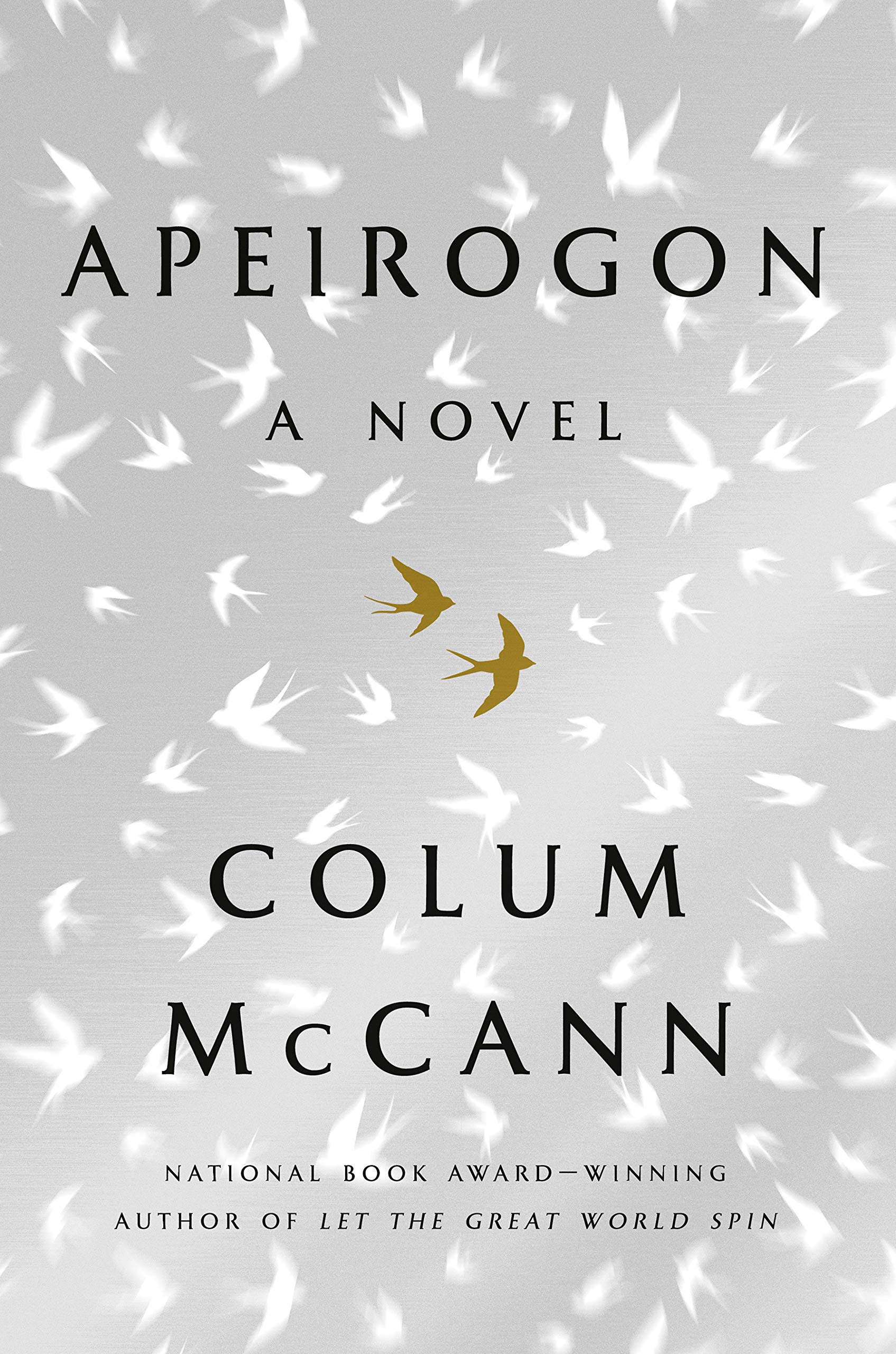 Amazon Com Apeirogon A Novel 9781400069606 Mccann Colum Books