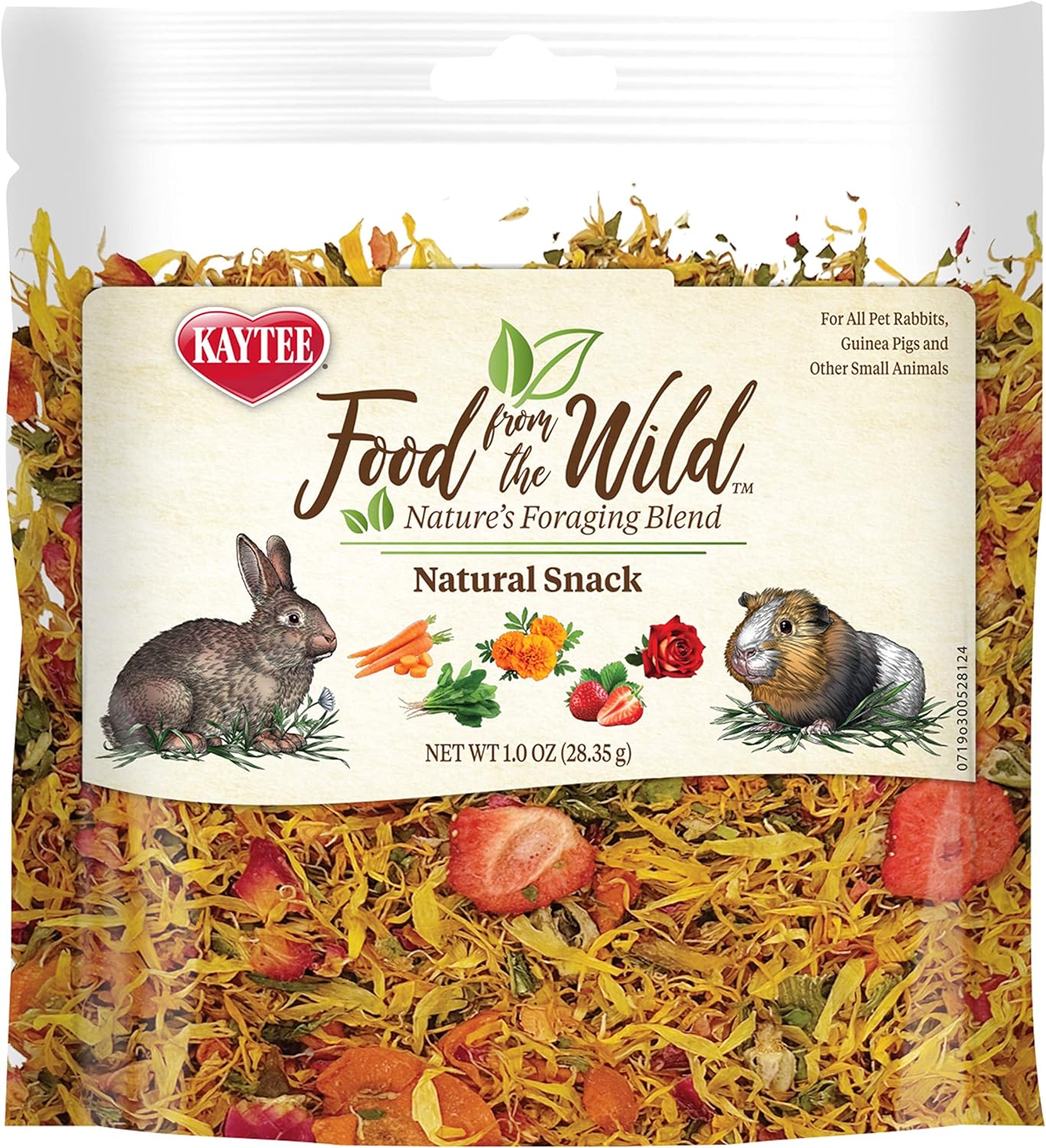 Kaytee Food from The Wild Natural Snack, 1 Ounce : Pet Supplies