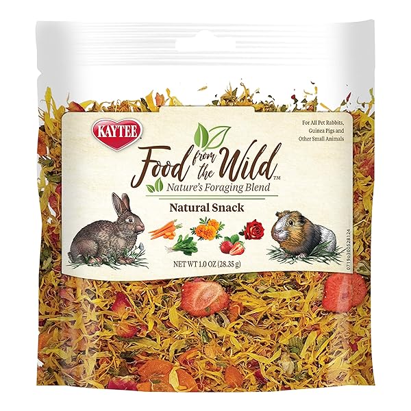 KAYTEE FOOD FROM THE WILD NATURAL SNACK FOR PET RABBITS, GUINEA PIGS AND OTHER SMALL ANIMALS, 1 OUNCE