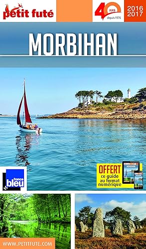 Download Petit Futé Morbihan PDF