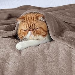 Bedsure GentleSoft Fleece Throw Blanket for Couch