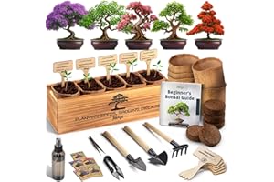 AVERGO Bonsai Tree Kit for Beginners – 5X Unique Japanese Bonzai Trees | Complete Indoor Bonsai Starter Kit for Growing Bonsai Plants with Tools & Planters – DIY Gardening Gifts for Women & Men