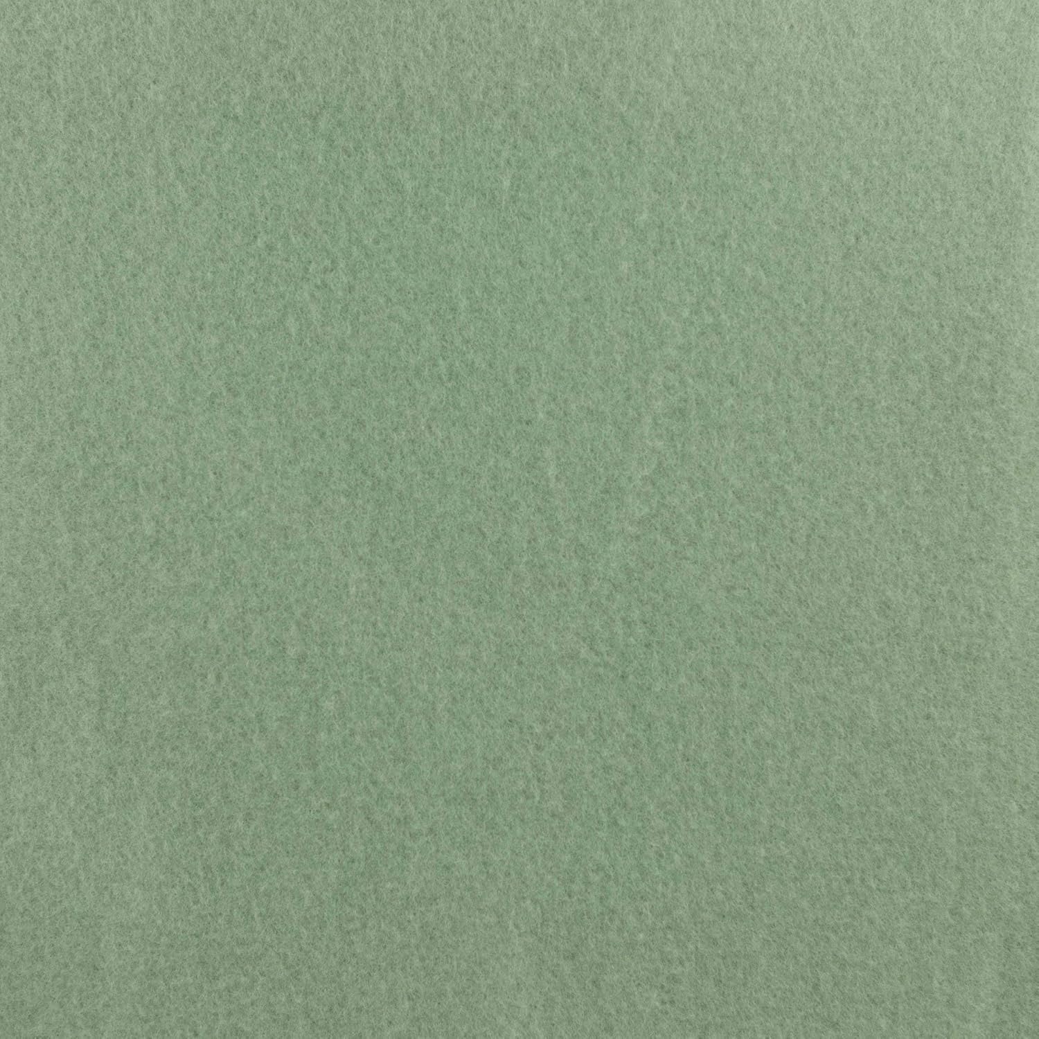 Biddeford Blankets Comfort Knit Heated Blanket, Full, Sage: Home & Kitchen